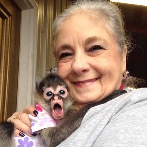 ITALIAN GRANNY