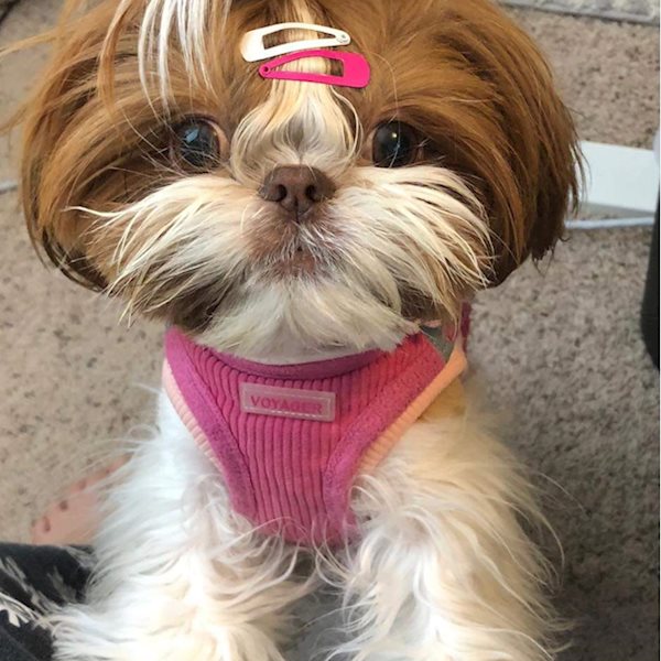 CHERYL